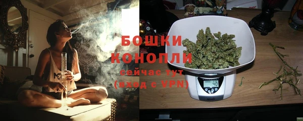 сатива Баксан
