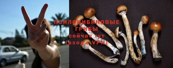 эйфоретик Протвино