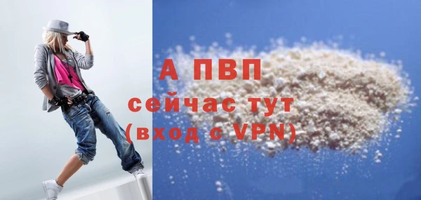 сатива Баксан