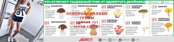 сатива Баксан