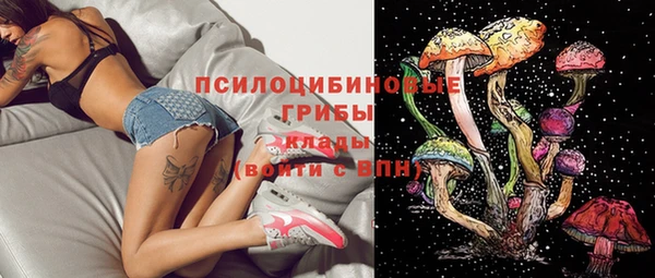 амф Балахна