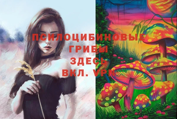 амф Балахна