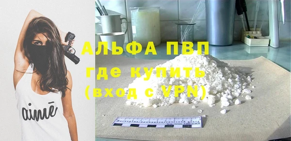 сатива Баксан